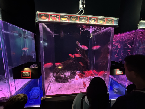 八景島シーパラダイス