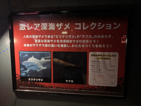 八景島シーパラダイス