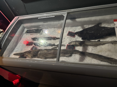 八景島シーパラダイス