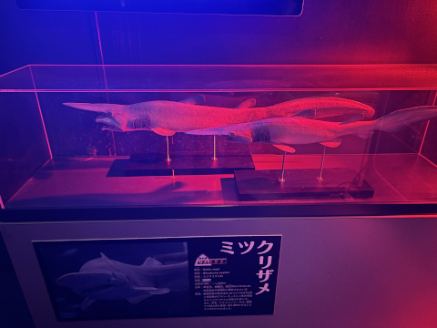 八景島シーパラダイス