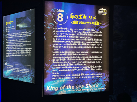 八景島シーパラダイス