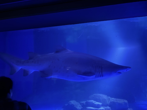 八景島シーパラダイス