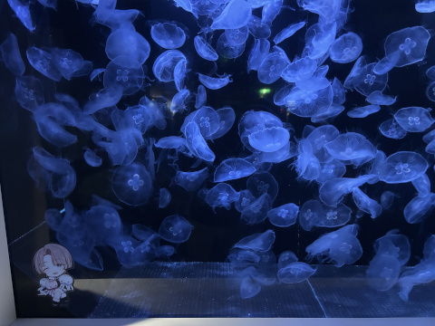 八景島シーパラダイス