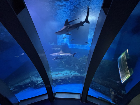 八景島シーパラダイス