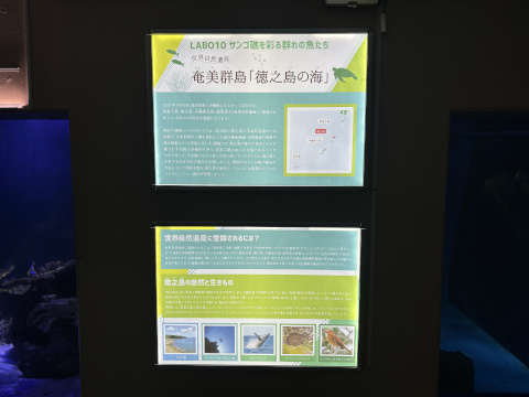 八景島シーパラダイス