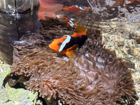 八景島シーパラダイス