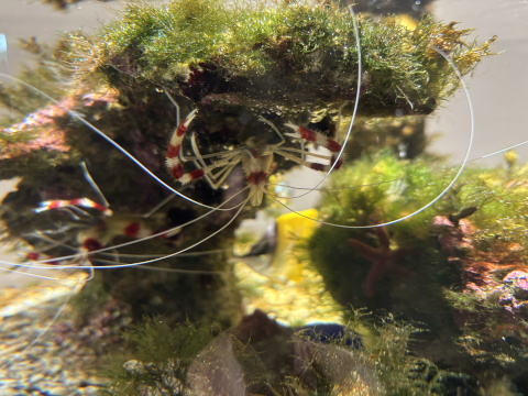 八景島シーパラダイス