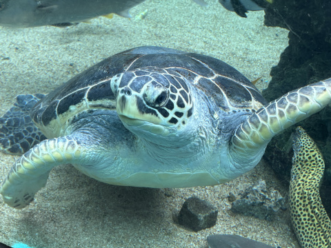 八景島シーパラダイス