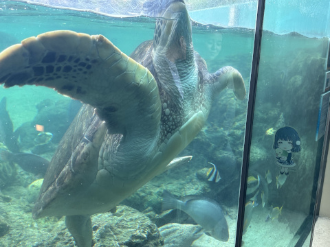 八景島シーパラダイス