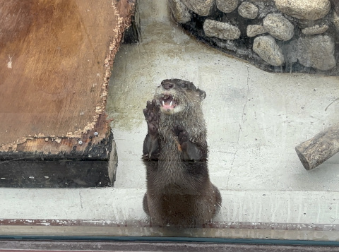 八景島シーパラダイス