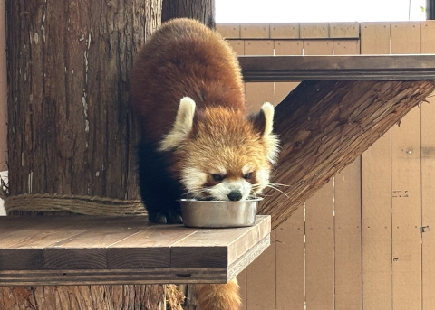 八景島シーパラダイス