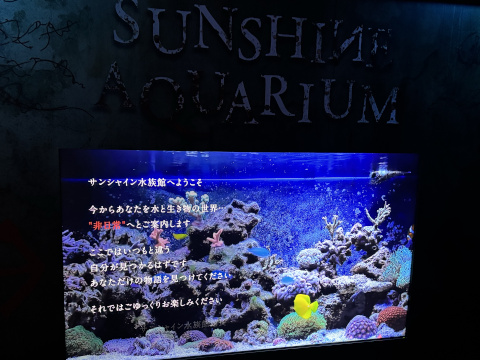 サンシャイン水族館