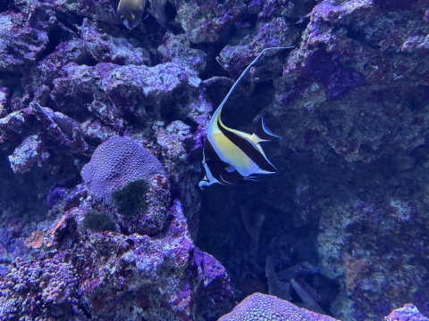 サンシャイン水族館
