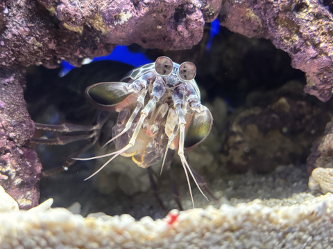 サンシャイン水族館