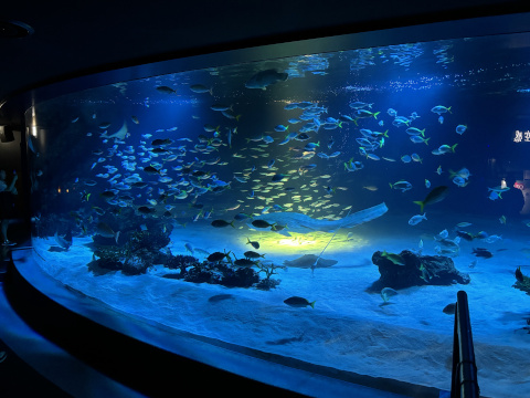 サンシャイン水族館