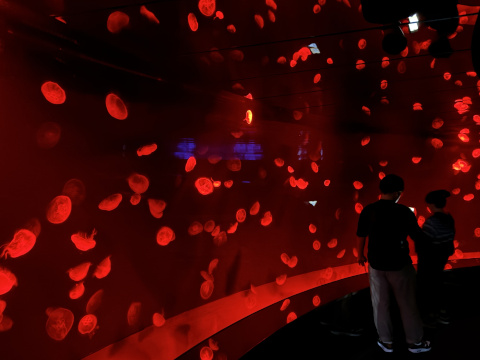 サンシャイン水族館