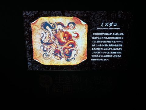 サンシャイン水族館