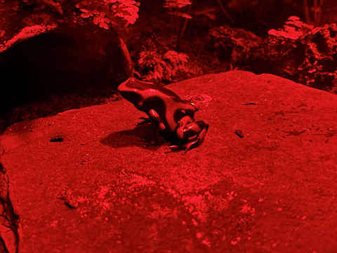 サンシャイン水族館