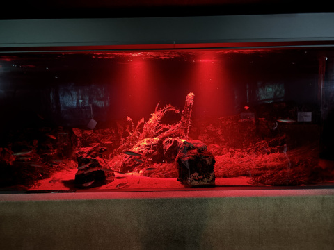 サンシャイン水族館