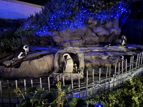 サンシャイン水族館