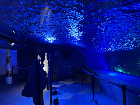 サンシャイン水族館