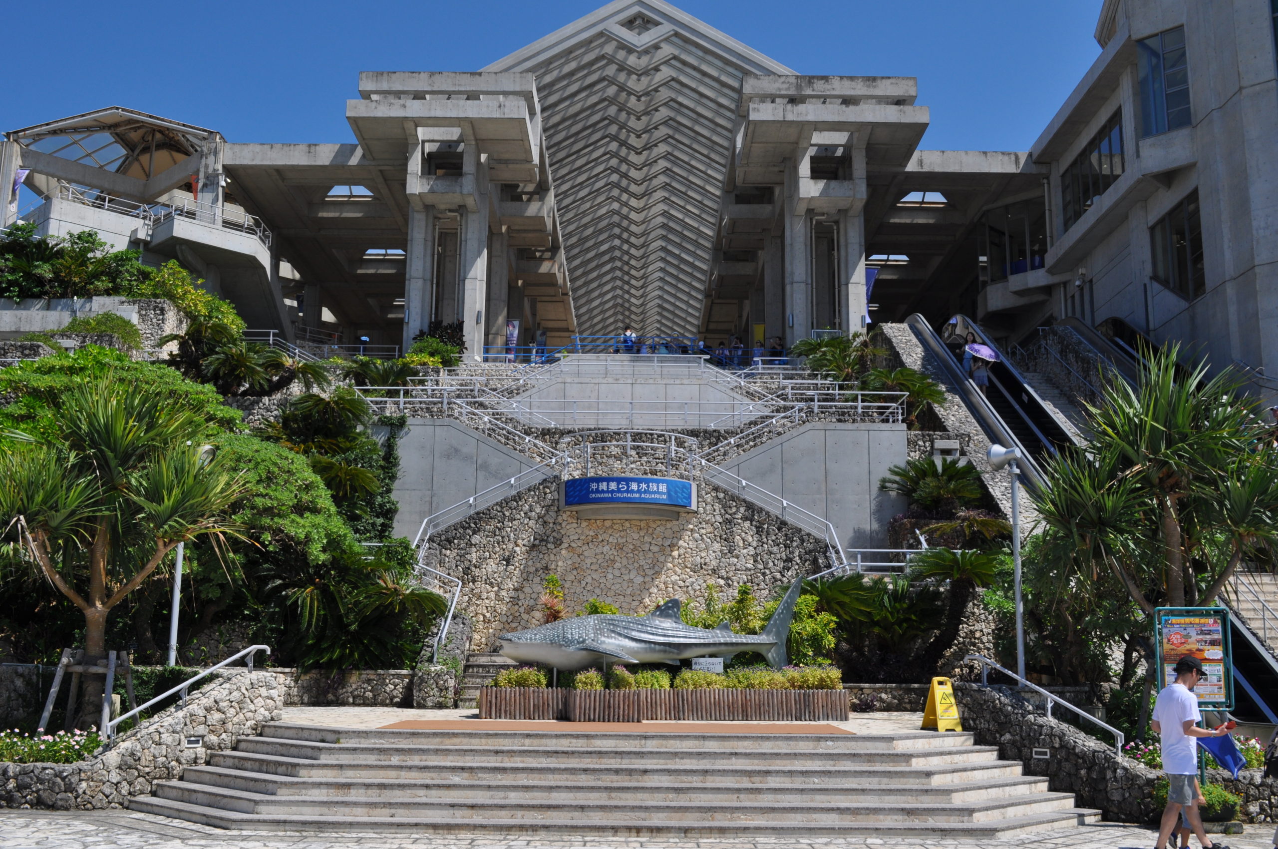 沖縄美ら海水族館