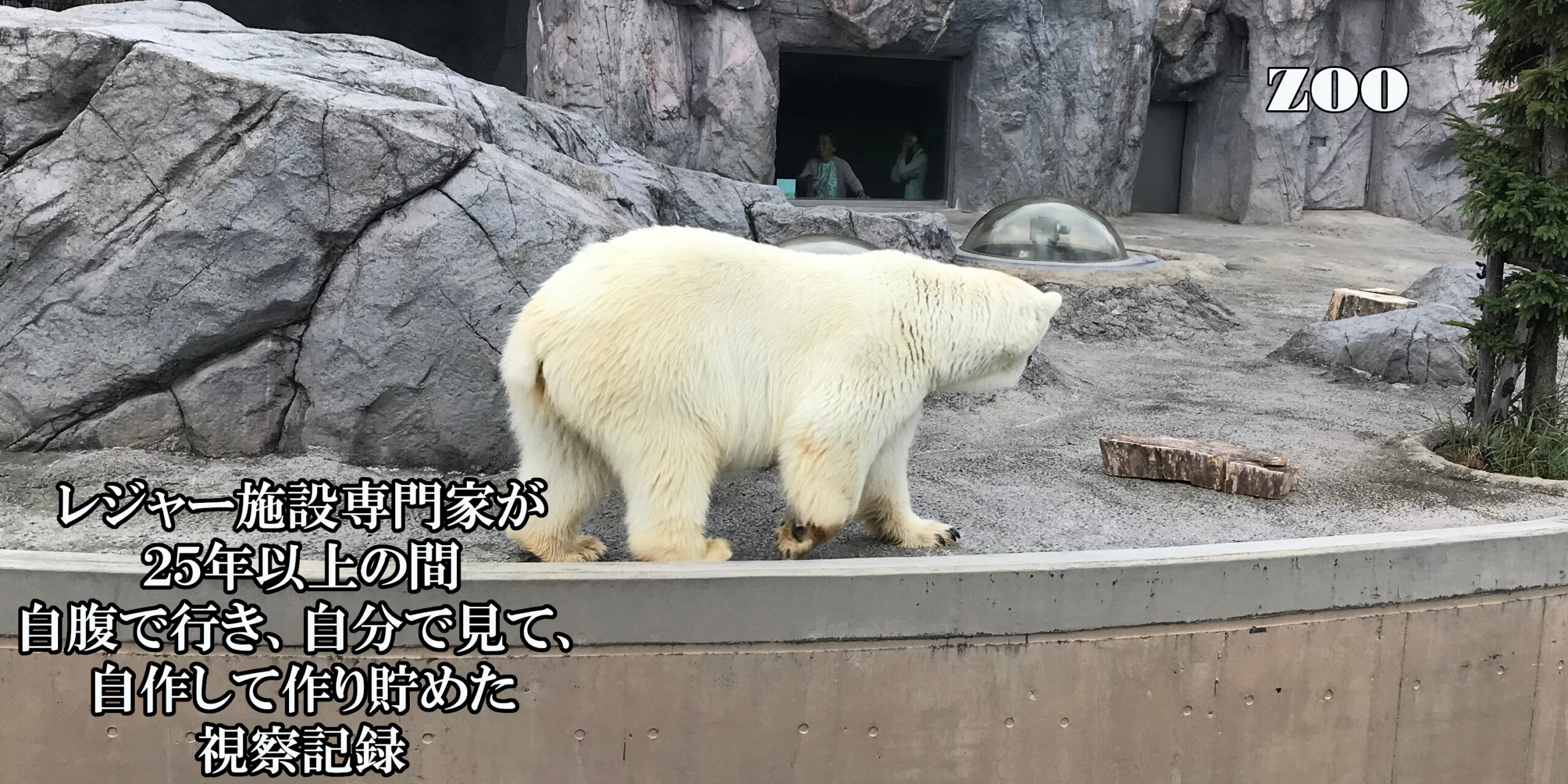 動物園 動物園