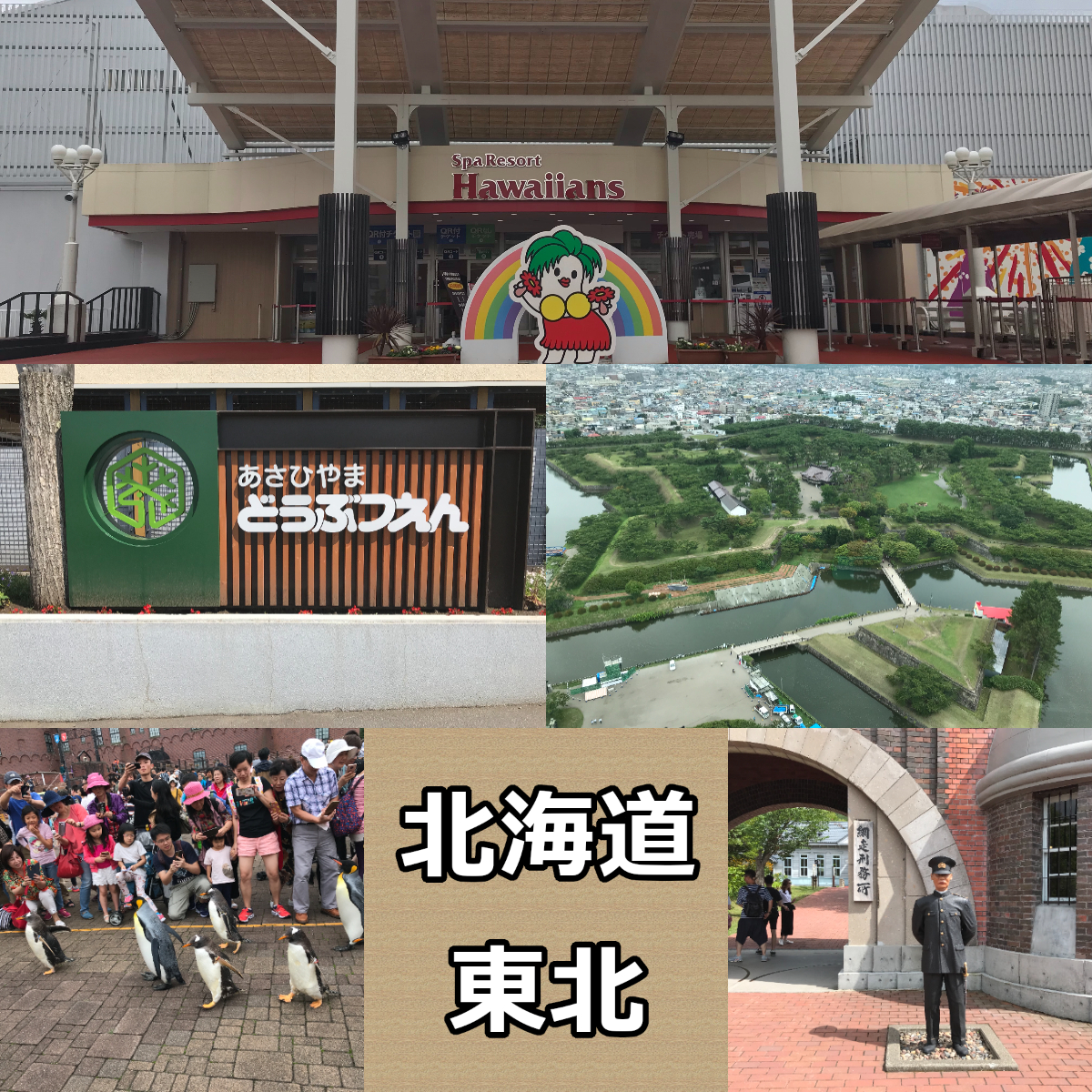 北海道・東北エリア