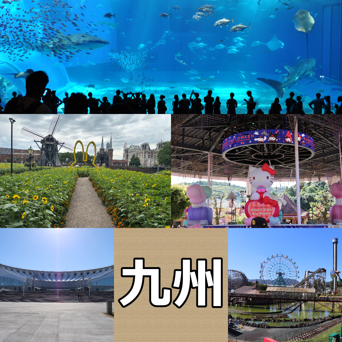 九州・沖縄エリア